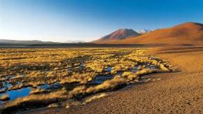 Northern Argentina and Chile Adventure 