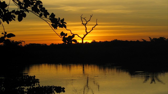 Pantanal