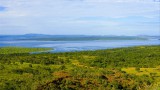 Pantanal