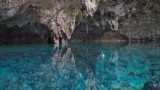 Bonito