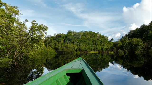 Rio, Iguazú Falls and the Amazon