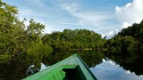 Rio, Iguazú Falls and the Amazon