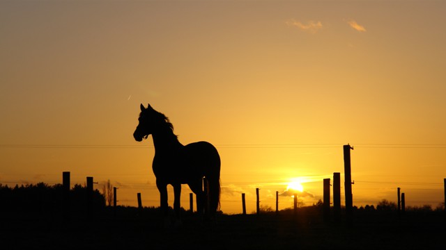 Buenos Aires Province