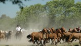 Buenos Aires and the Gaucho Experience