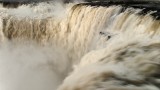  Iguazú Falls