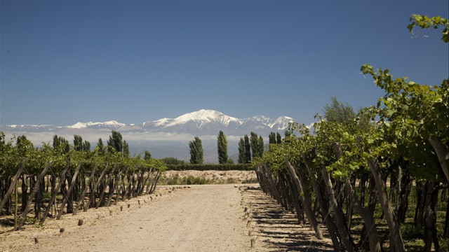 Mendoza