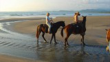 Horseback riding