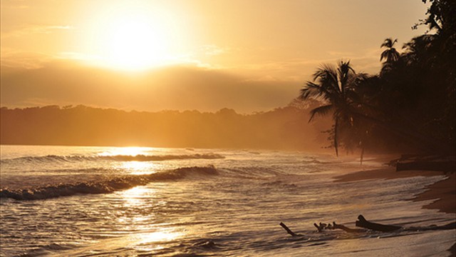 Costa Rica Beach and Jungle Retreat 