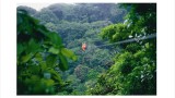 Caribbean and Pacific Beaches (Self-drive)