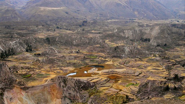 The Colca Canyon