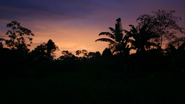 The Amazon at nightfall