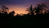 The Amazon at nightfall