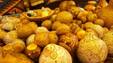 Carved gourds