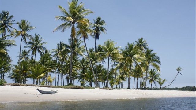 Tranquil beach