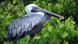 Galápagos Islands