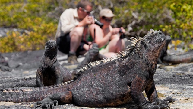 Galápagos Islands