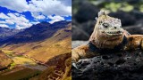 Galápagos and Peru Discovery 